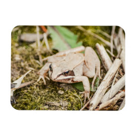 Imán Naturaleza de la rana de madera Animales de la mad