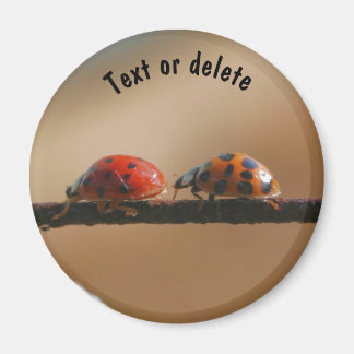 Imán Naturaleza de los Buddies de Ladybug Personalizada