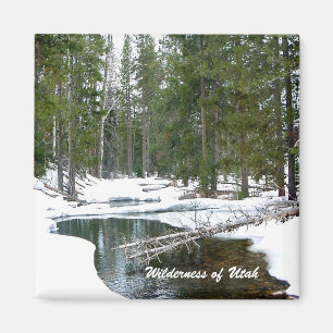 Imán Naturaleza de Utah