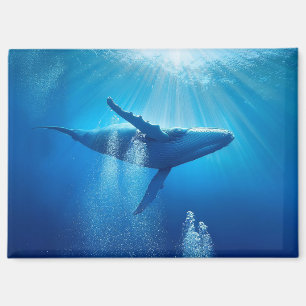 Imán Naturaleza del mar del océano ballena Agua azul Vi