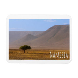 Imán Naturaleza del paisaje del desierto de África en N