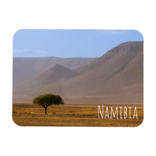 Imán Naturaleza del paisaje del desierto de África en N