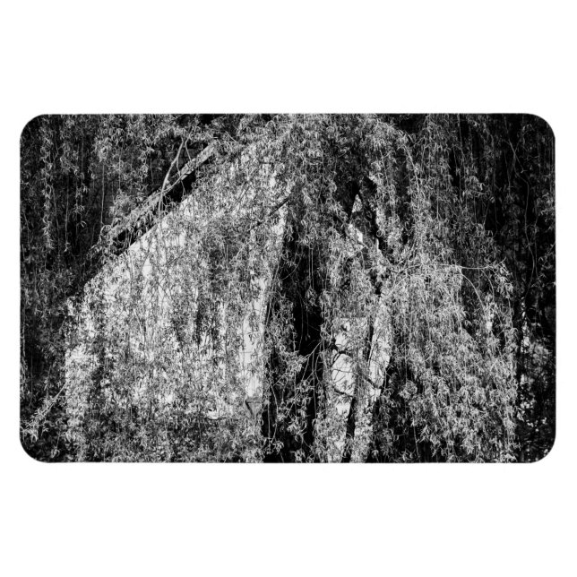 Imán naturaleza muerta en casa (Horizontal)