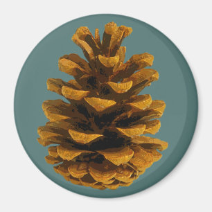 Imán Naturaleza rústica de Pinecone