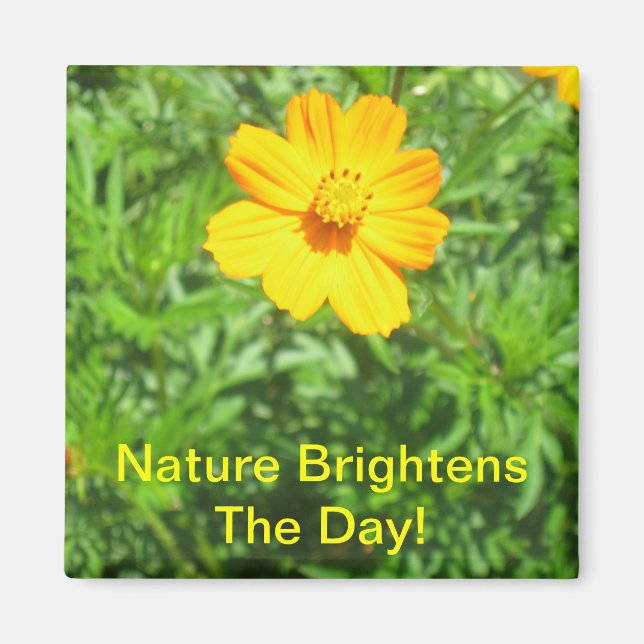 Imán Naturas Magnet (Frente)