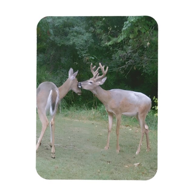 Imán Nature Lover (Vertical)