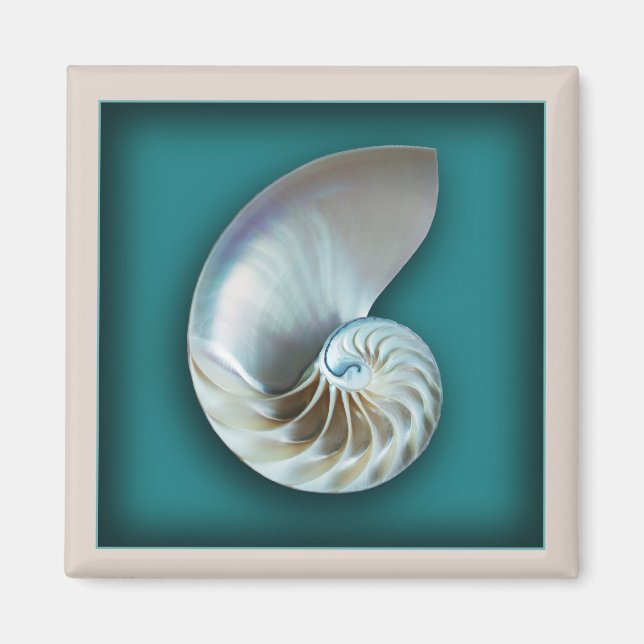 Imán Nautilus shell imnet (Frente)