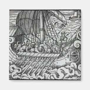 Imán Nave de Viking