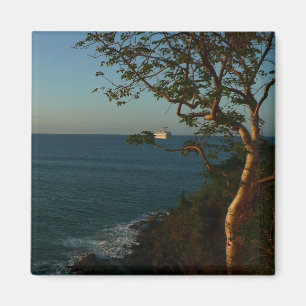 Imán Navegar fuera del atardecer tropical del atardecer