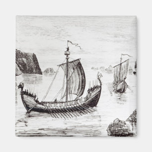 Imán Naves de Viking