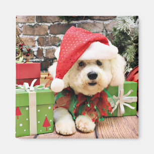 Imán Navidad - Bichon Frise - margarita