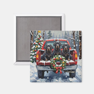Imán Navidad Camioneta Roja Newfoundland Negro Fiesta