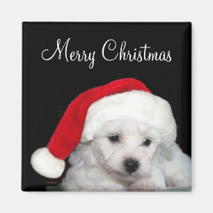 Imán Navidad de Bichon Frise