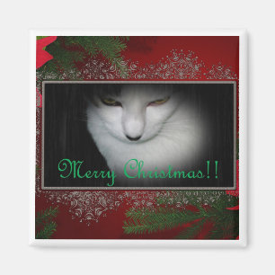 Imán ¡Navidad de los amantes del gatito!!