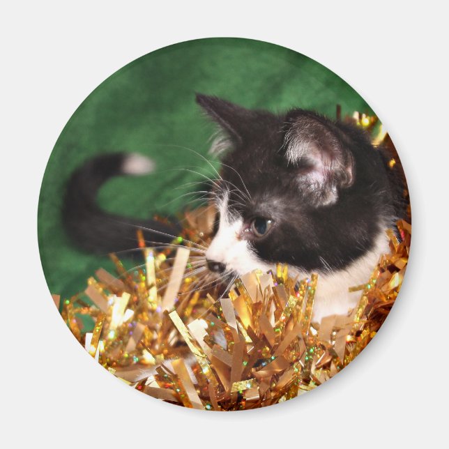 Imán Navidad del gatito del smoking (Frente)