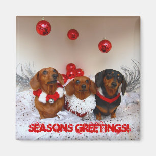Imán ¡Navidad del perro de Weiner, "saludos de las