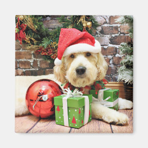 Imán Navidad - GoldenDoodle - Gus