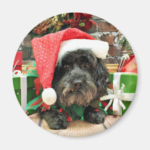 Imán Navidad - Lasa Apso - duendecillo