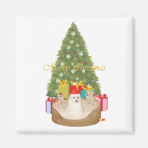 Imán Navidad maltesa