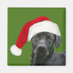 Imán Navidad negro del laboratorio