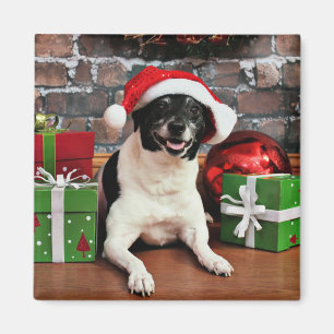 Imán Navidad - rata Terrier - vivaracho