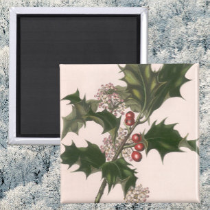 Imán Navidad Vintage, Planta de Acebo con Bayas Rojas