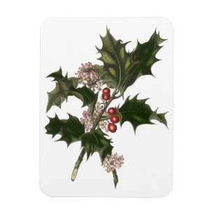 Imán Navidad Vintage, Planta de Acebo Verde con Bayas