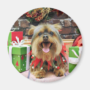 Imán Navidad - Yorkie - Eli