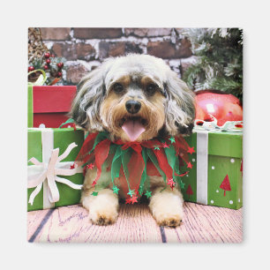 Imán Navidad - YorkiPoo - Oliverio