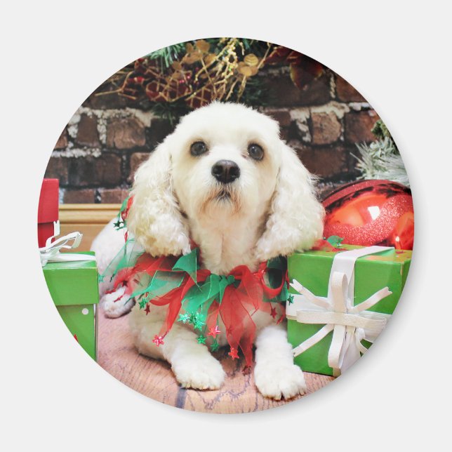 Imán Navidades - Bichon Frise X - Maya (Frente)