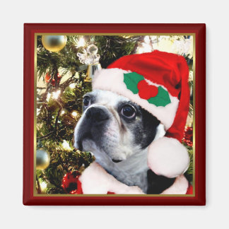 Imán Navidades Boston terrier