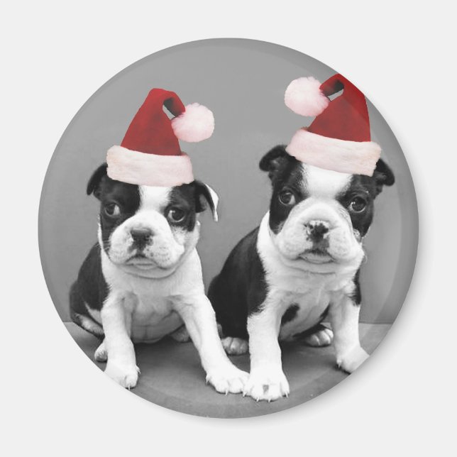Imán Navidades Boston Terriers (Frente)