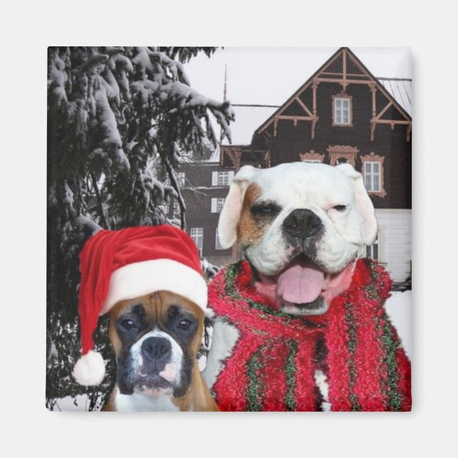 Imán Navidades Boxer Dogs Magnet (Frente)