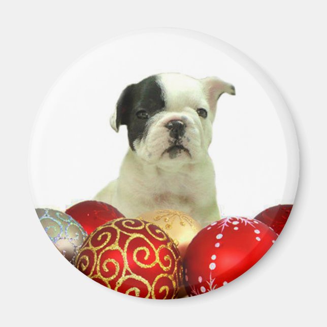 Imán Navidades cachorro de Bulldog francés (Frente)