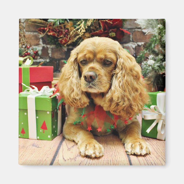 Imán Navidades - Cockalier - Suzy (Frente)
