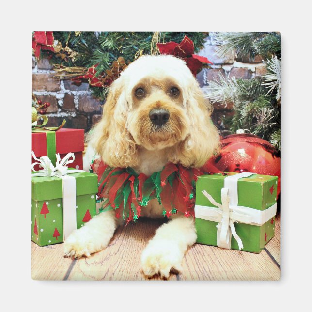 Imán Navidades - Cockapoo - Buddy (Frente)