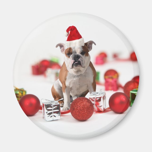Imán Navidades de bulldog Caja de regalo Ornamentos Red (Frente)