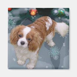 Imán Navidades de Cavalier King Charles Spaniel