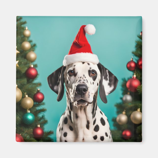 Imán Navidades de Dalmacia (Frente)