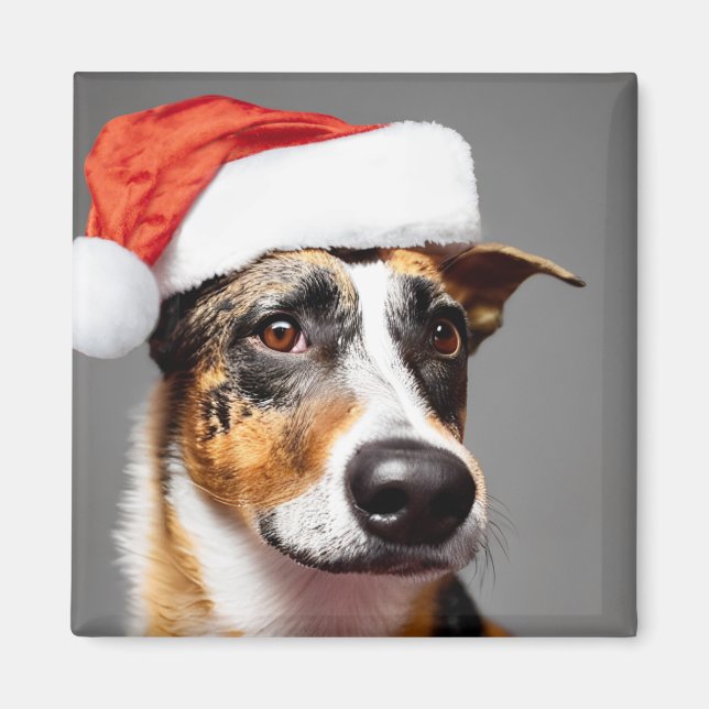 Imán Navidades de ganado vacuno de Australia (Frente)