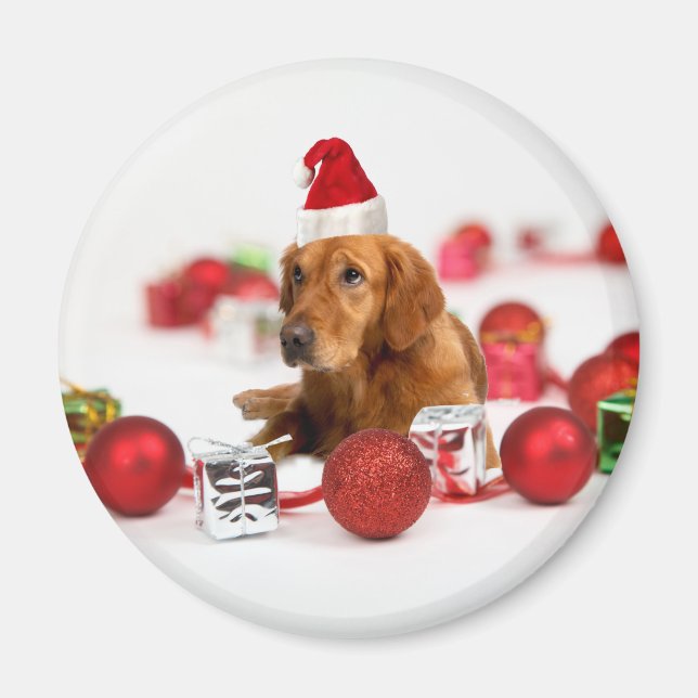 Imán Navidades de Golden Retriever Dog W Red Santa Hat (Frente)