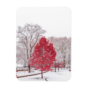 Imán navidades de invierno 89