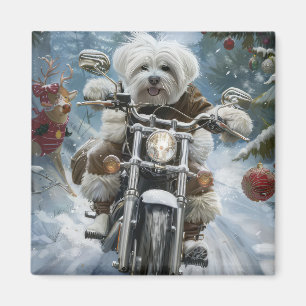 Imán Navidades de motocicletas Coton De Tulear
