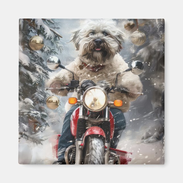 Imán Navidades de motociclismo de perros de La Habana (Frente)