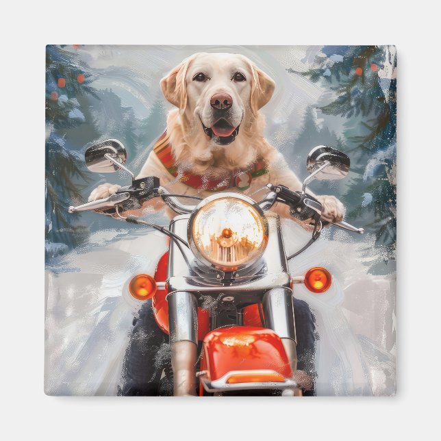 Imán Navidades de motociclismo de perros de Labrador (Frente)