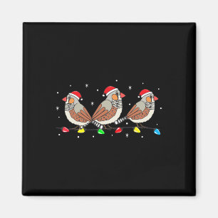 Imán Navidades de pájaros de Zebra Finch alumbran a div