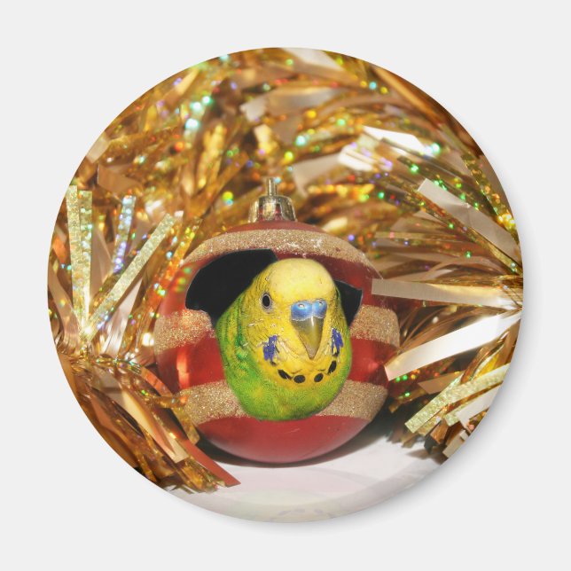 Imán Navidades de Parakeet (Frente)