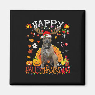 Imán Navidades de Pitbull Dog Halloween Perro Happy Hal