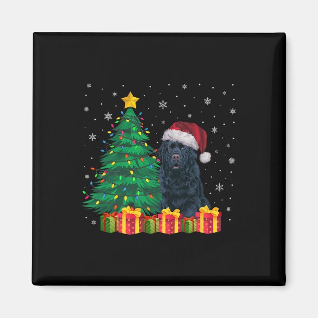 Imán Navidades de Santa Hat de Terranova Luminosos Perr (Frente)