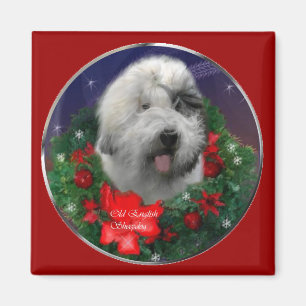 Imán Navidades de Sheepdog ingleses viejos regalos